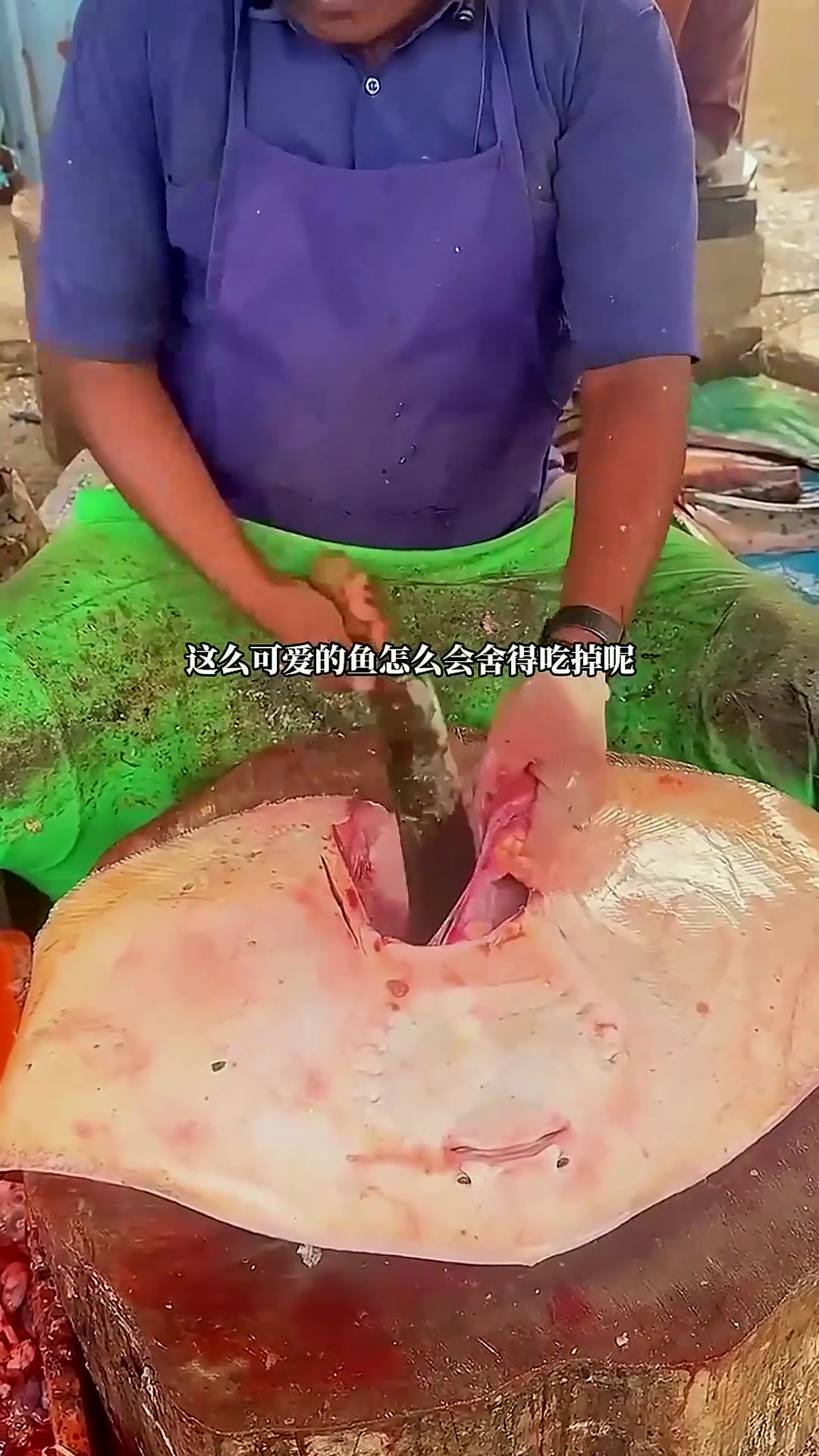 印度人都是如何处理大鳐鱼的,真是让人大开眼界啊