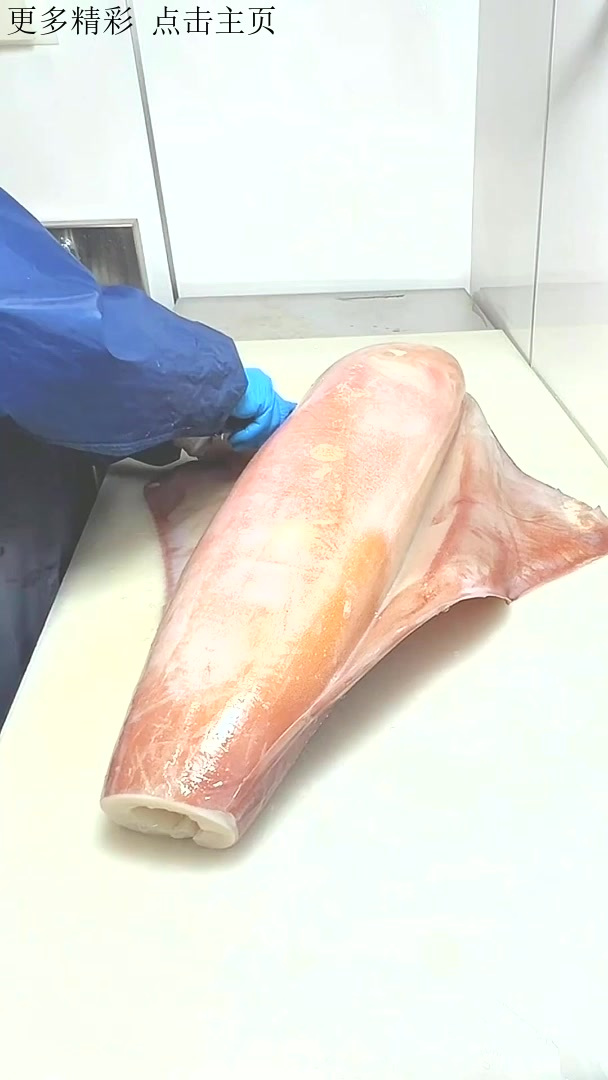 日本人都是如何处理大鱿鱼的,全程高能,看起来很丝滑很解压刀