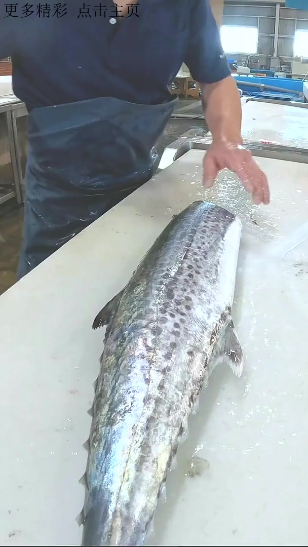 日本人都是如何杀鱼的,很丝滑很解压分割鱼肉 活鱼现杀 刀工