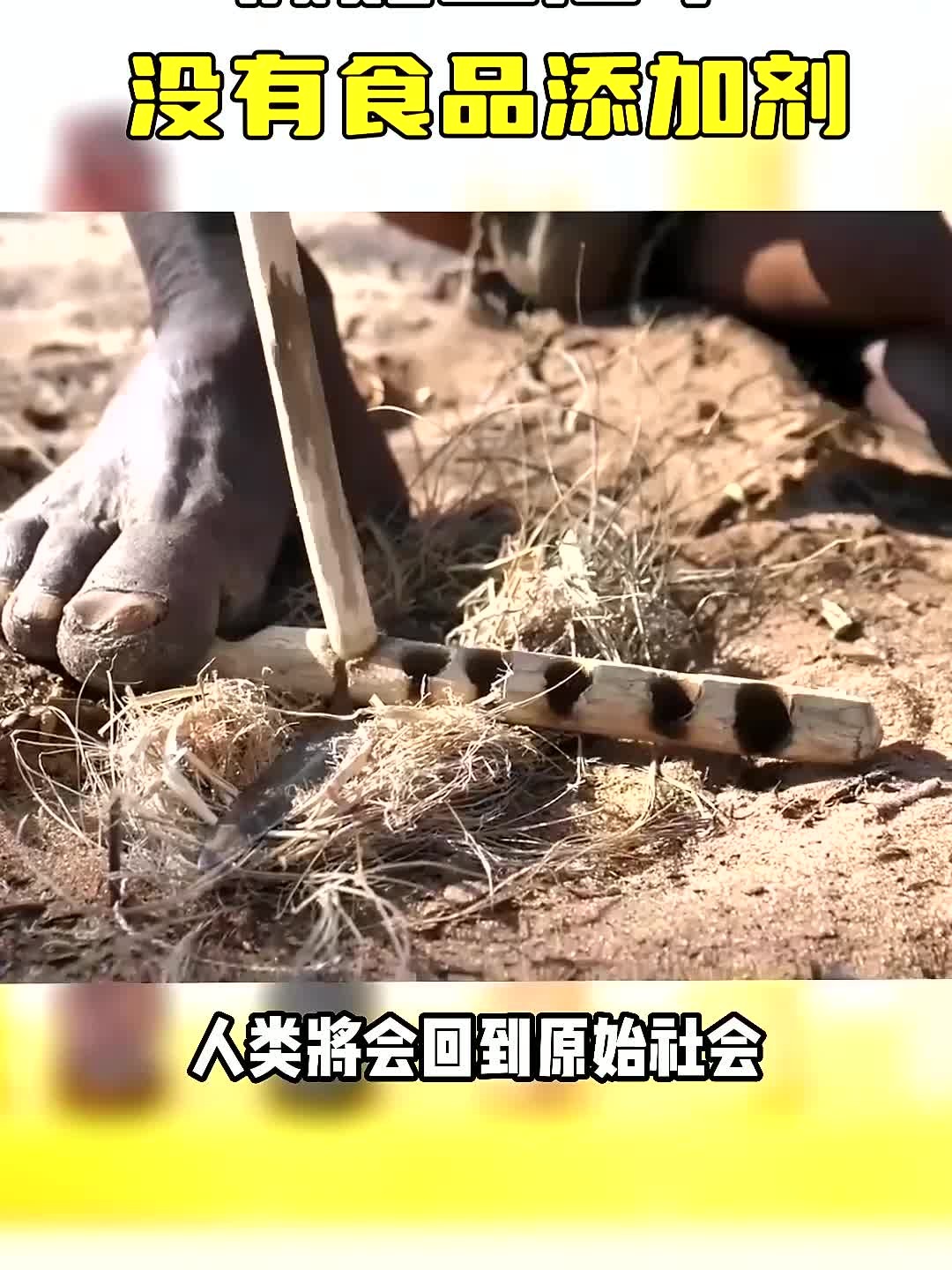 假如生活中没有食品添加剂,你知道一些食物会变成什么样吗?