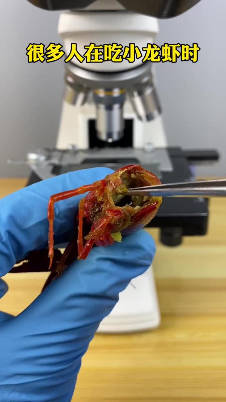 小龙虾真有寄生虫吗?