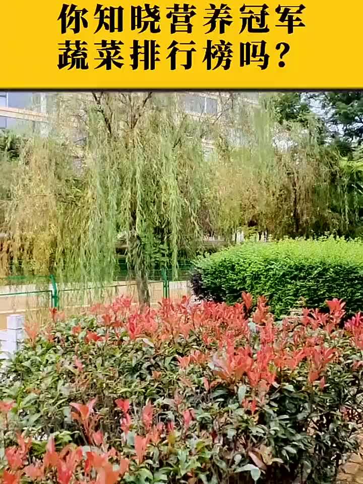健康秘诀藏在日常,你知道哪些蔬菜在营养冠军排行榜上名列前茅吗