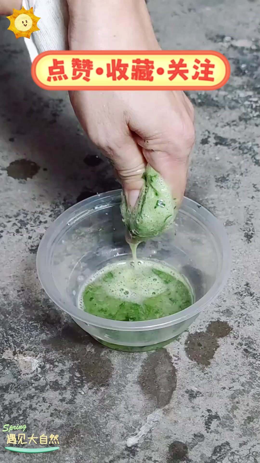 犁头草又叫叶堇菜等，它的模样和价值大公开！