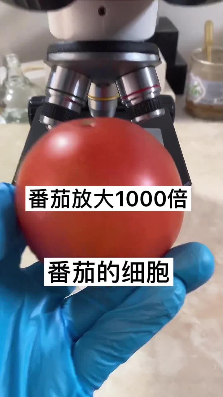 完成的不好,有少许气泡