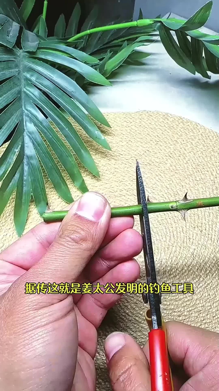 古代钓鱼小技巧