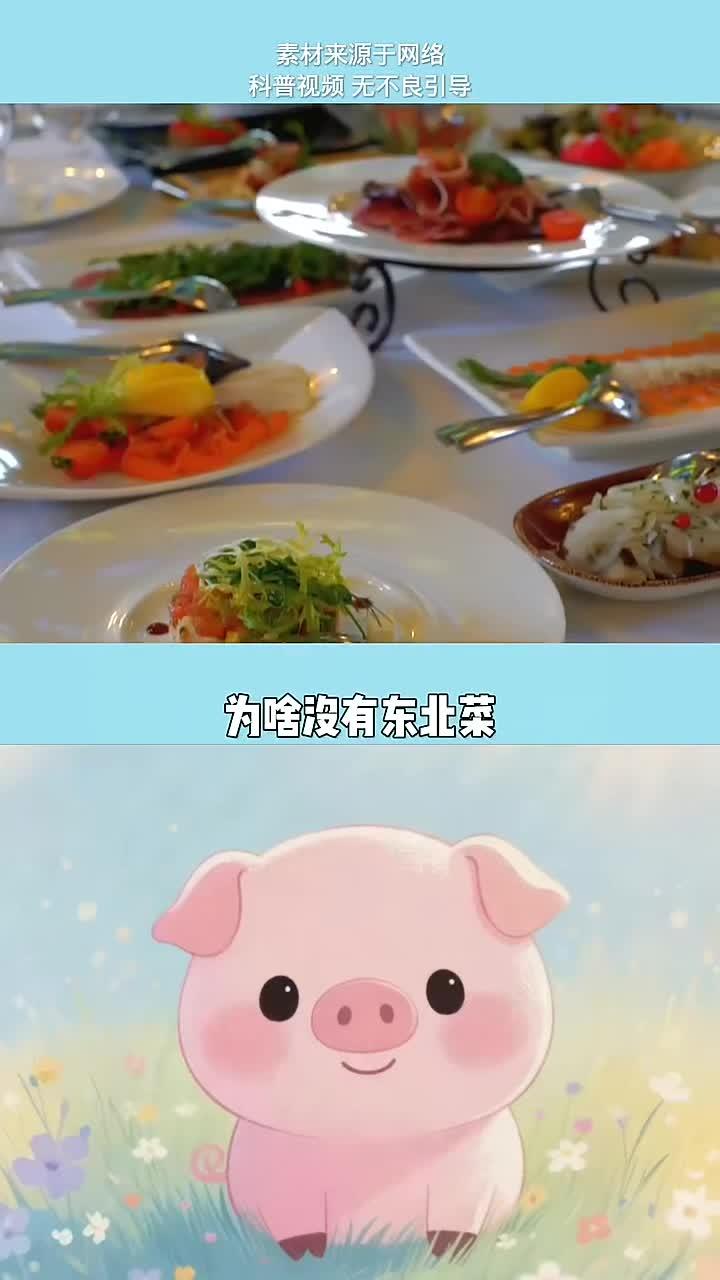 在中国的八大菜系里,为啥没有东北菜?