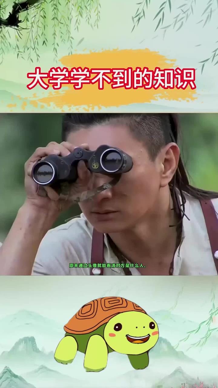 通过头像类型,就能看清对方是什么人?