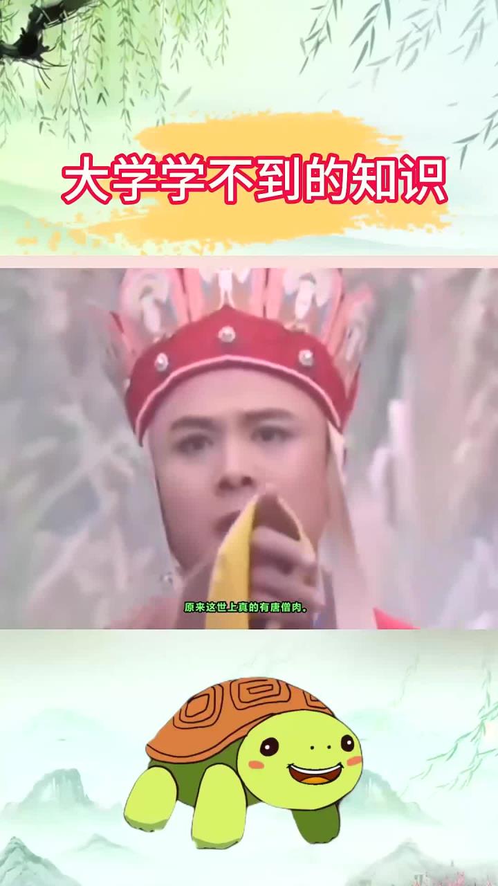 大学学不到的知识:原来是这世上真的有唐僧肉