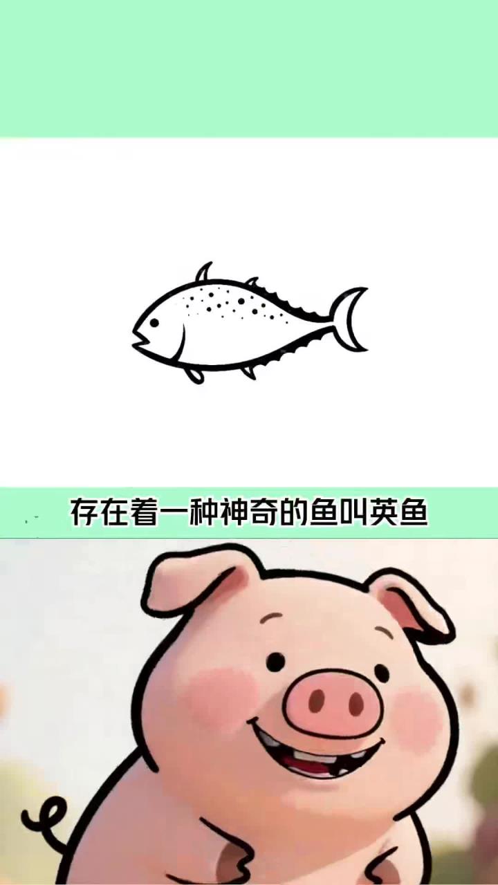 每天分享一个冷知识：奇怪的英鱼