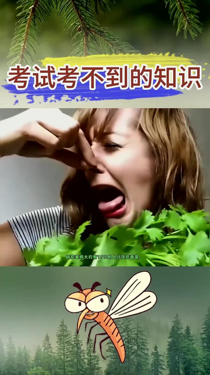 学霸不会告诉你的知识:为什么有人讨厌吃香菜?