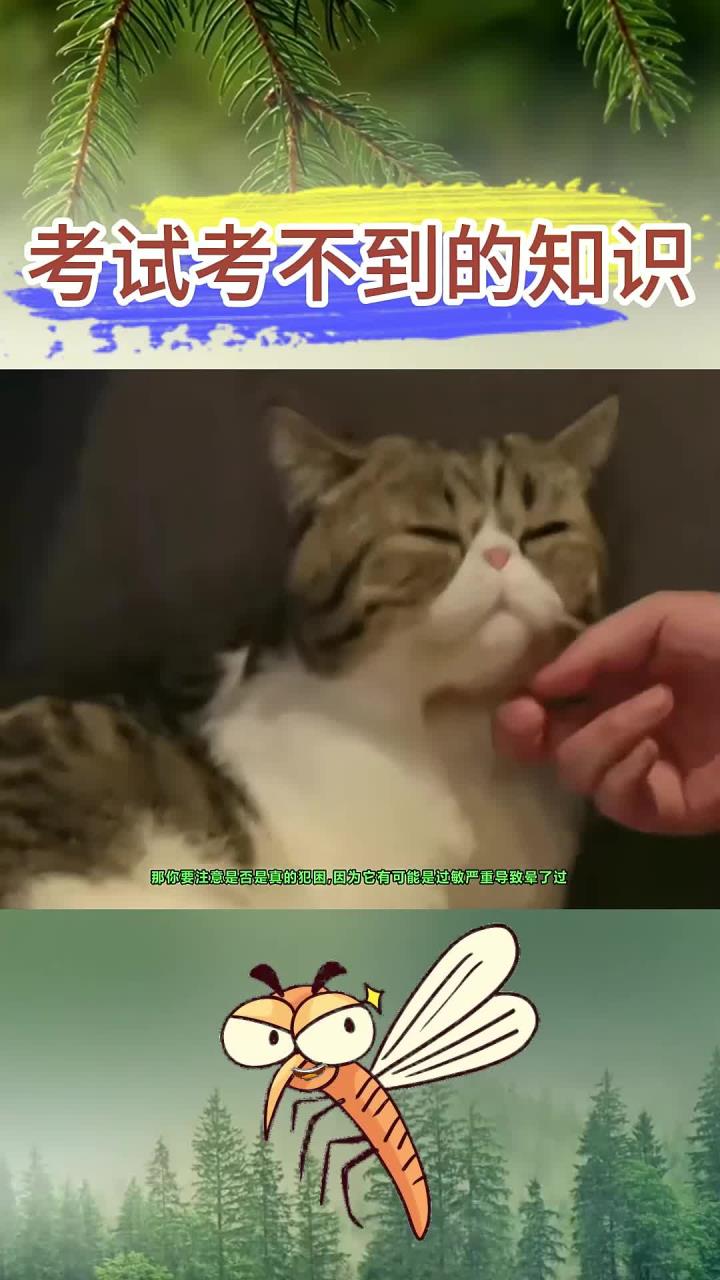 学霸不会告诉你的知识：你吃鸡蛋过敏吗