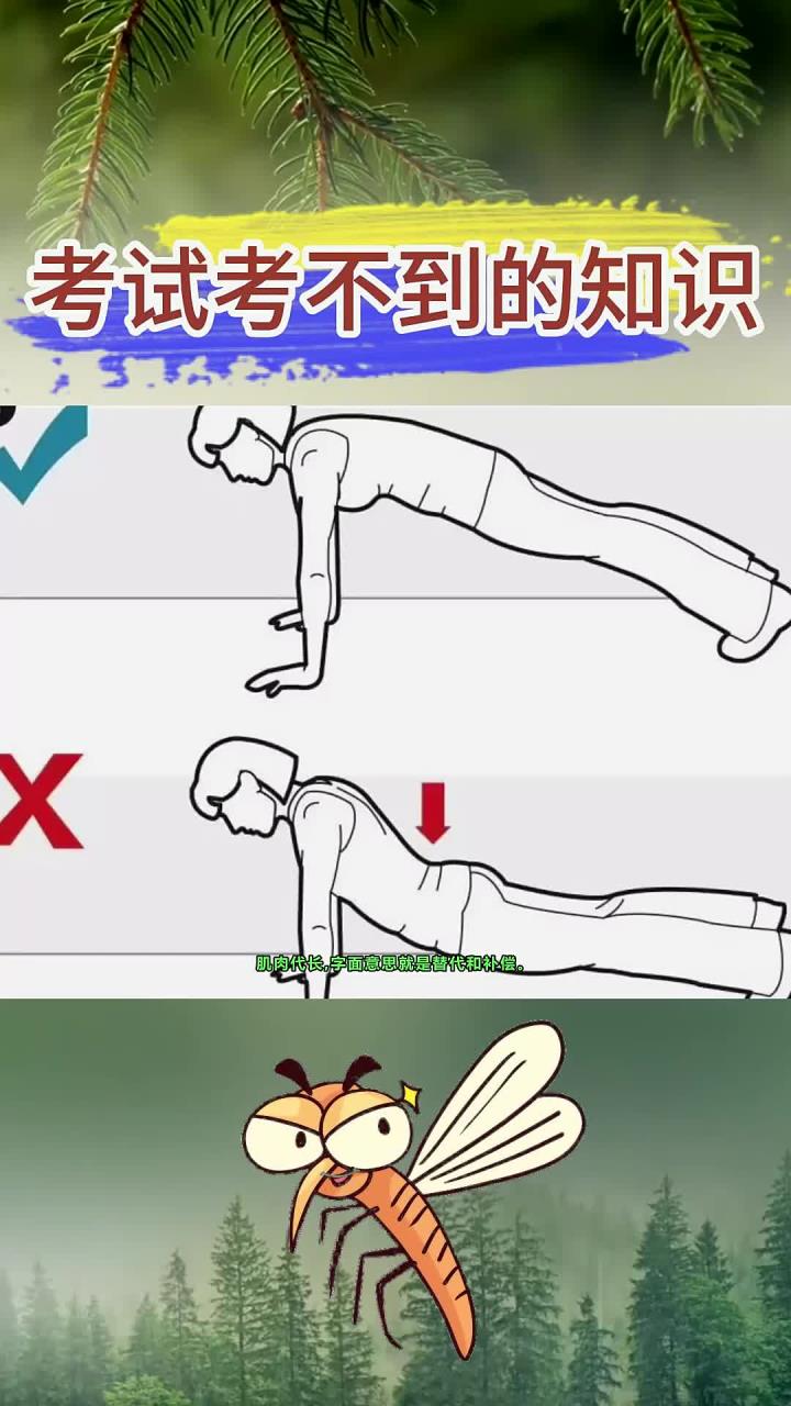 学霸不会告诉你的知识:你对于肌肉代偿的看法是什么呢?