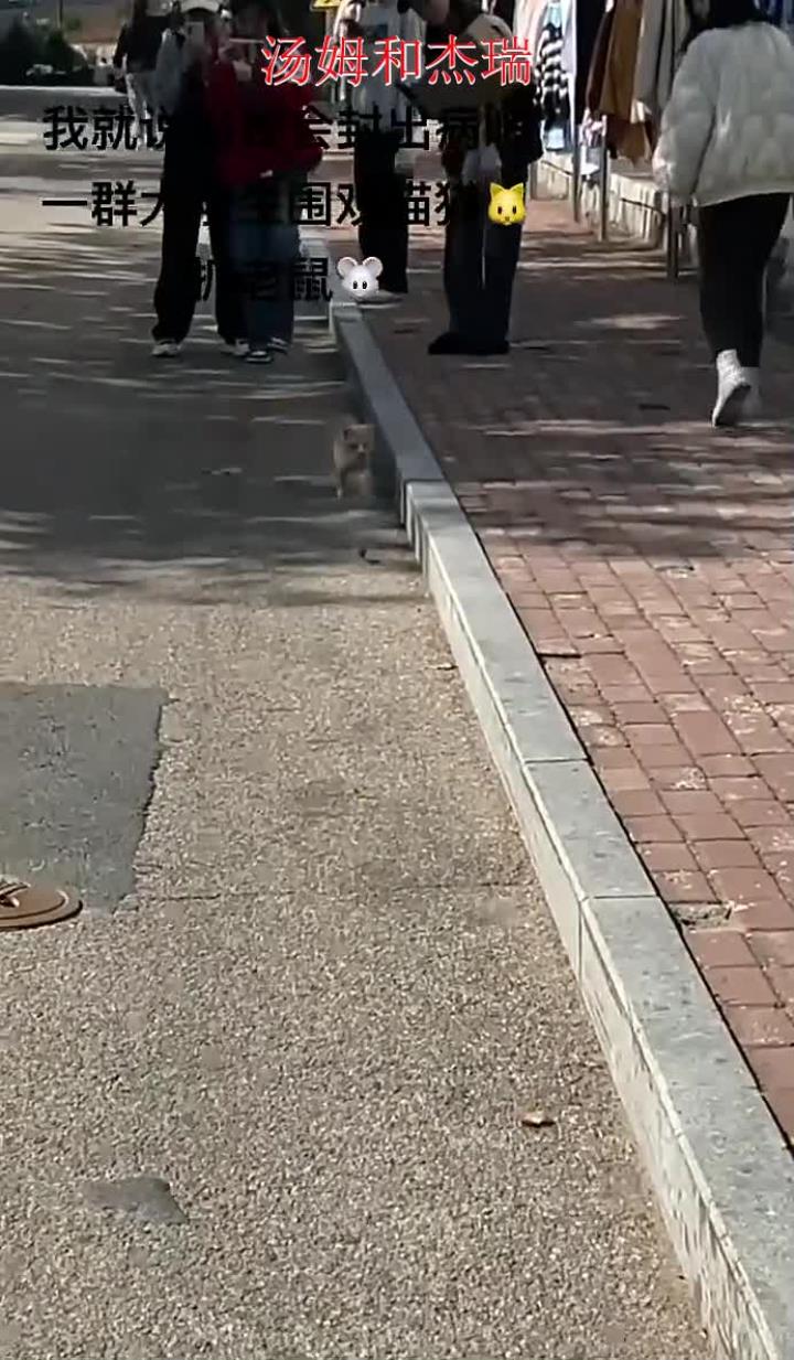 汤姆和杰瑞!