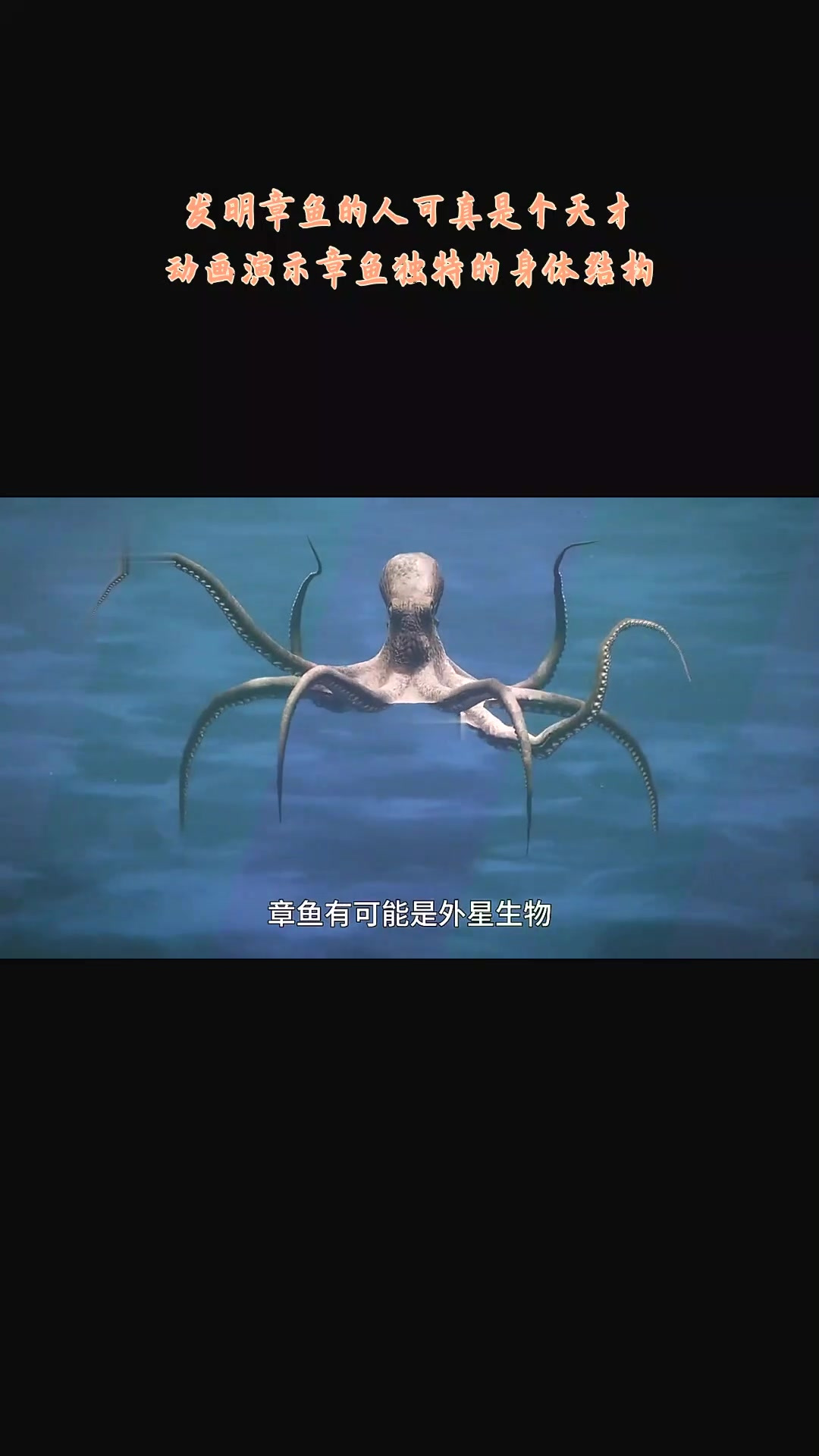 发明章鱼的人可真是个天才,动画演示章鱼独特的身体结构
