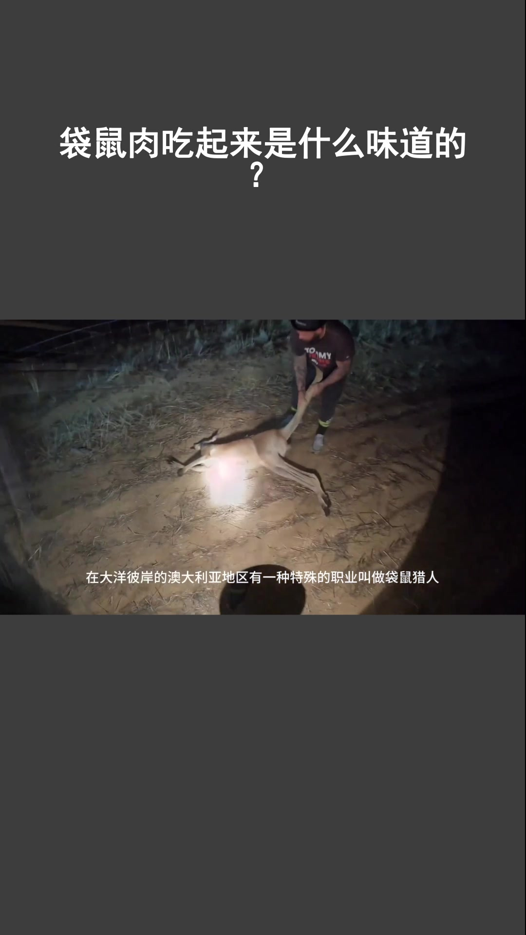 袋鼠肉吃起来是什么味道的?