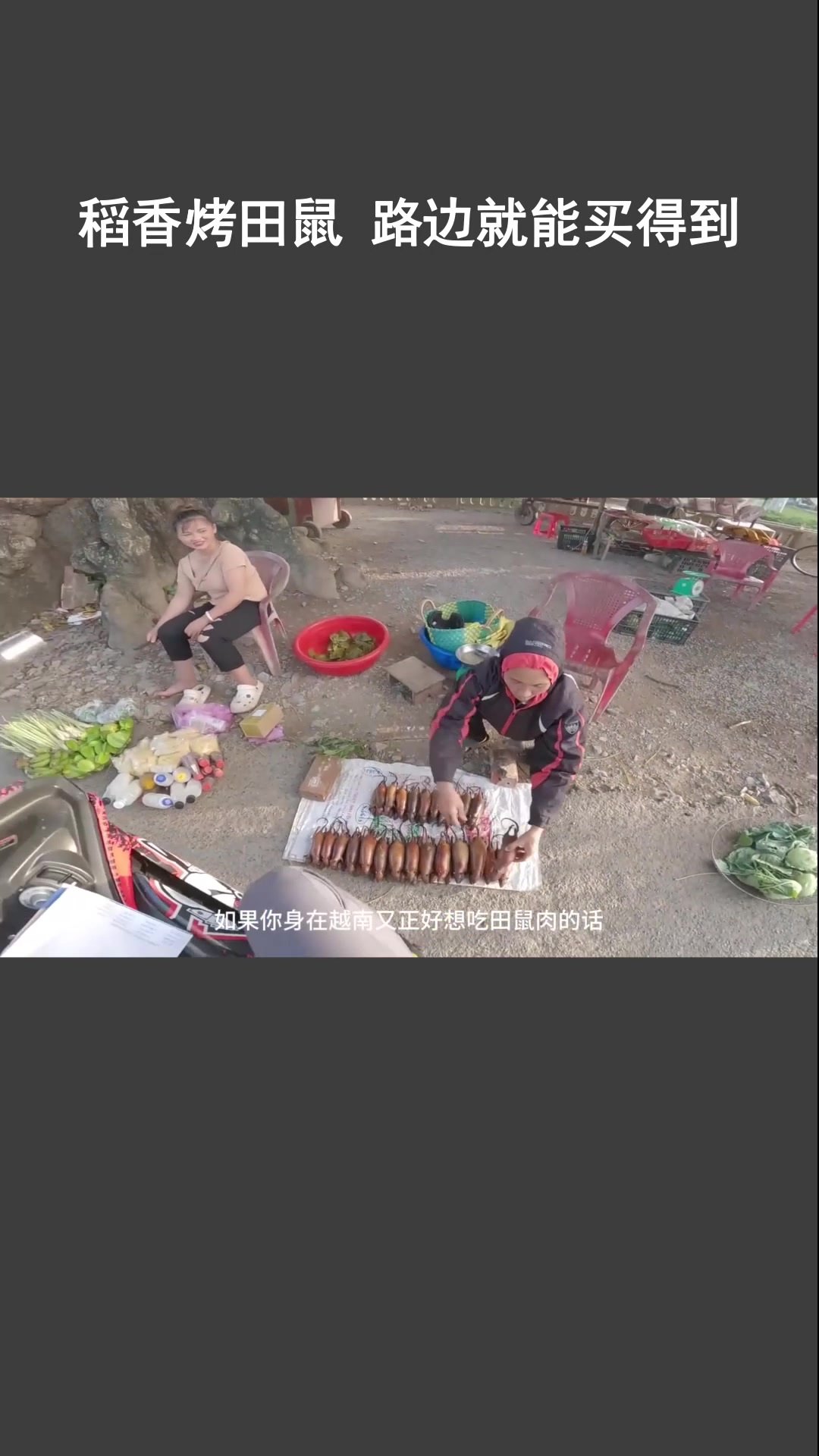稻香烤田鼠 路边就能买得到