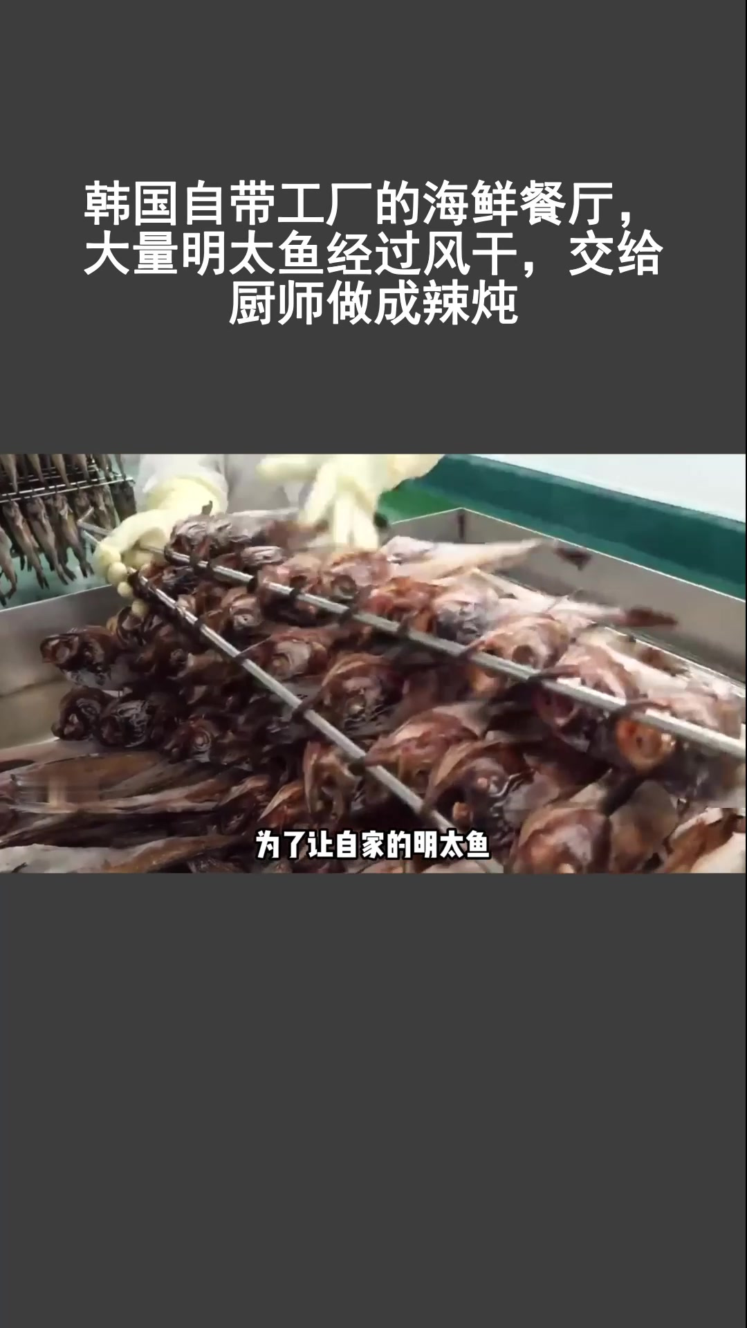 韩国自带工厂的海鲜餐厅,大量明太鱼经过风干,交给厨师做成辣炖