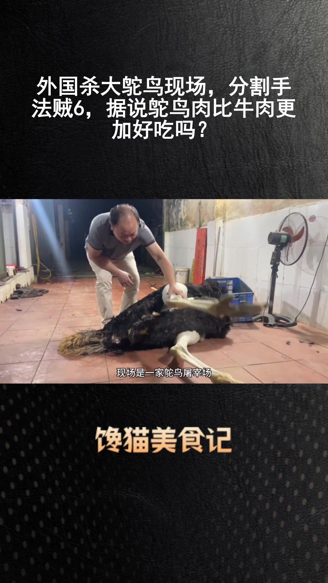 外国杀大鸵鸟现场,分割手法贼6,据说鸵鸟肉比牛肉更加好吃吗?