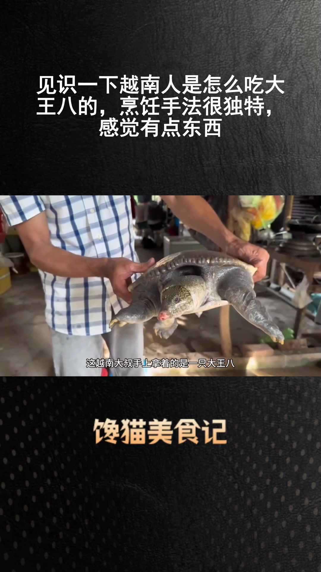 越南人是怎么吃大王八的,烹饪手法很独特,感觉有点东西