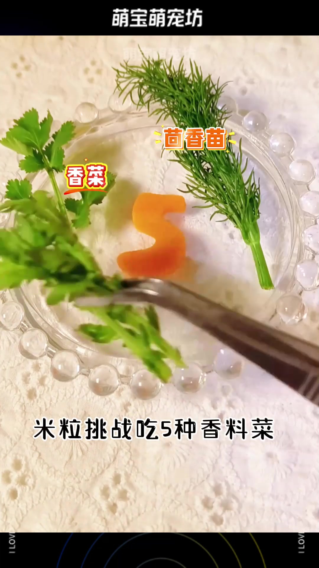 米粒挑战吃5种香料菜,你都吃过吗?