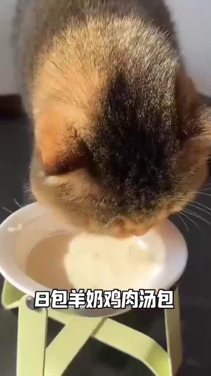 9块9就能薅到八包羊奶鸡丝汤包,补水又营养!大猫小猫都爱吃,专门拿捏爱挑食的小猫咪