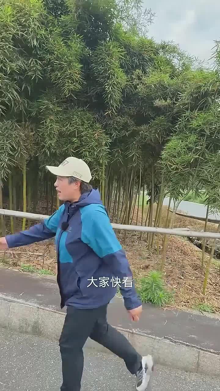 清朝四大案杨乃武小白菜