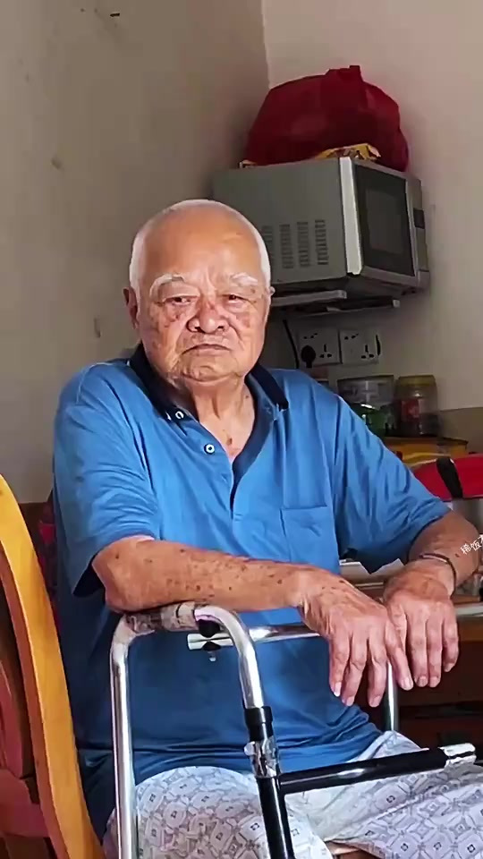 网友:长得有点像,盼盼小面包!