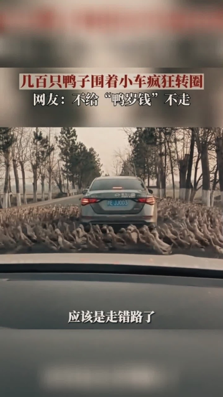 冲鸭!