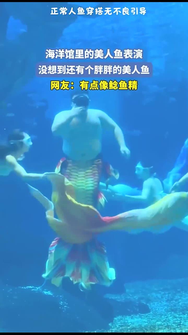 海洋馆里的美人鱼表演，没想到还有个胖胖的美人鱼，网友：有点像