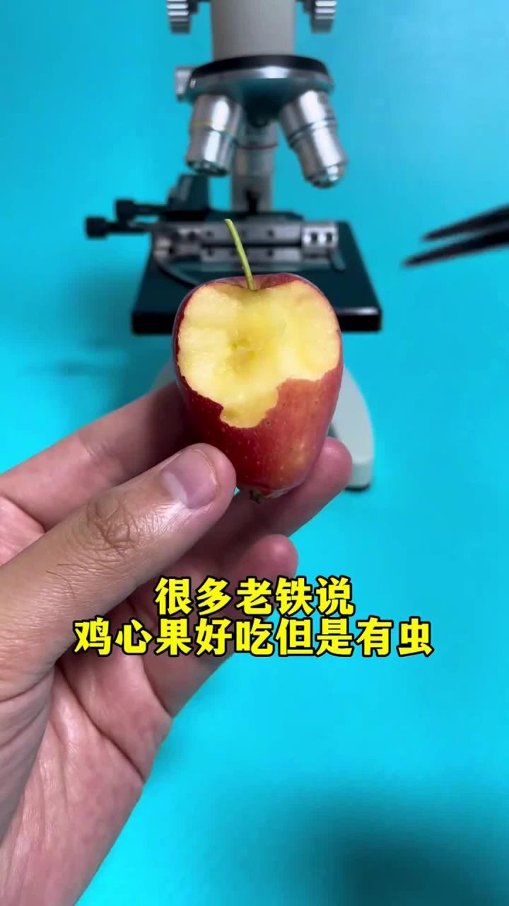 鸡心果你还喜欢吃吗?