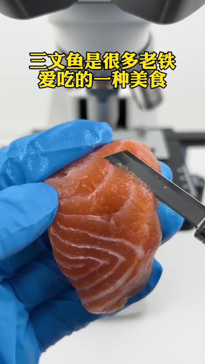 三文鱼真有寄生虫吗?