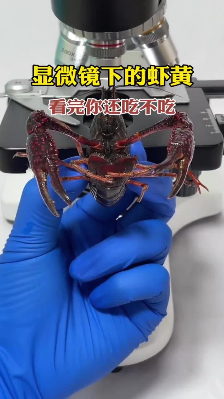 虾黄真的不能多吃吗?