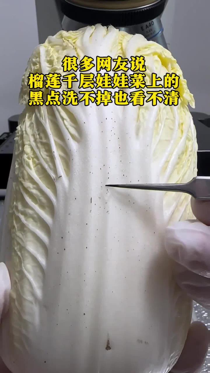 娃娃菜放大,上面的黑点究竟是什么?