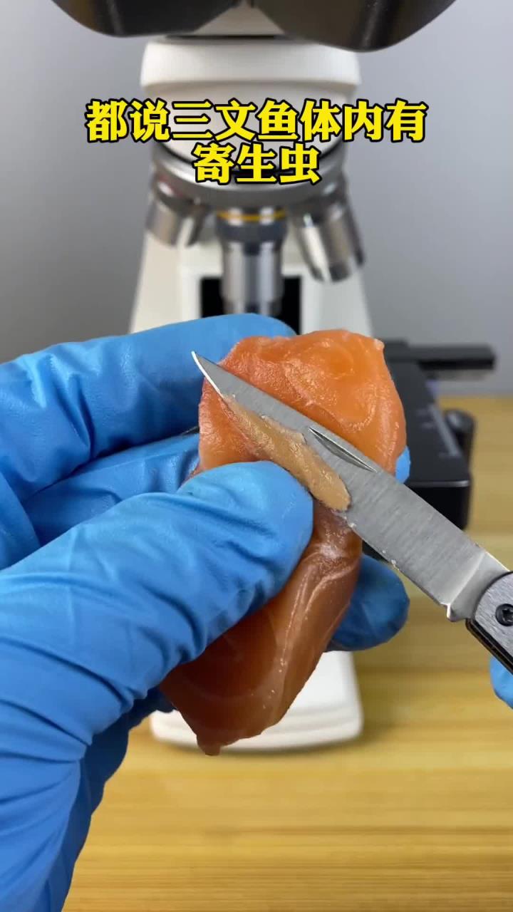 三文鱼真有寄生虫吗