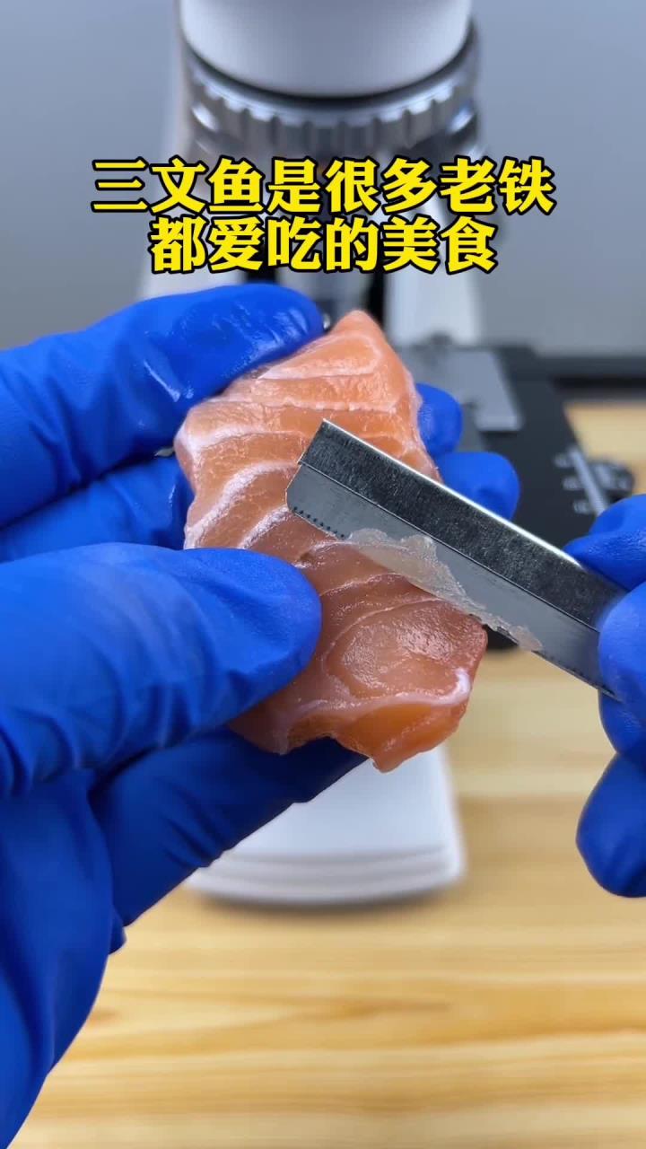 三文鱼真有寄生虫吗?