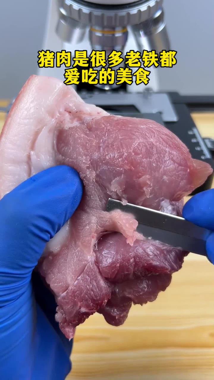 猪肉真有寄生虫吗？