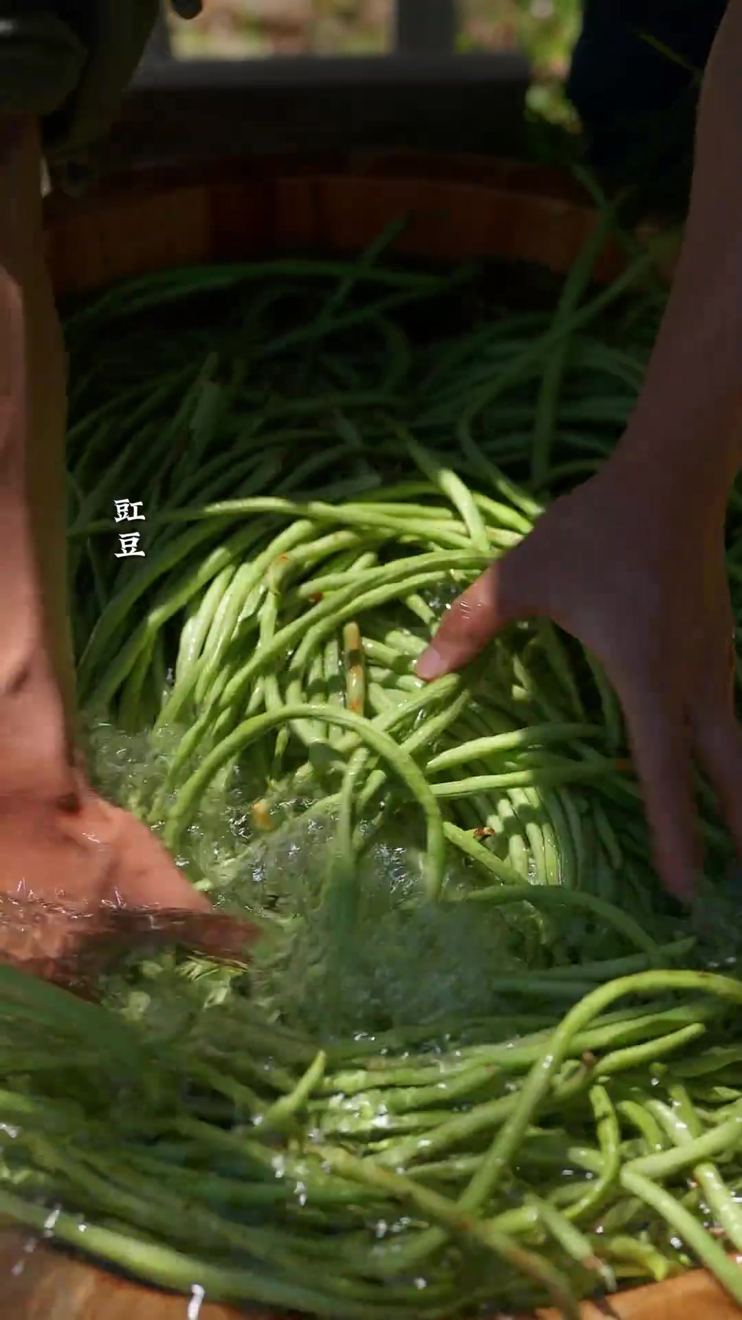 酸豆角干豆角味道，真的嘎嘎好