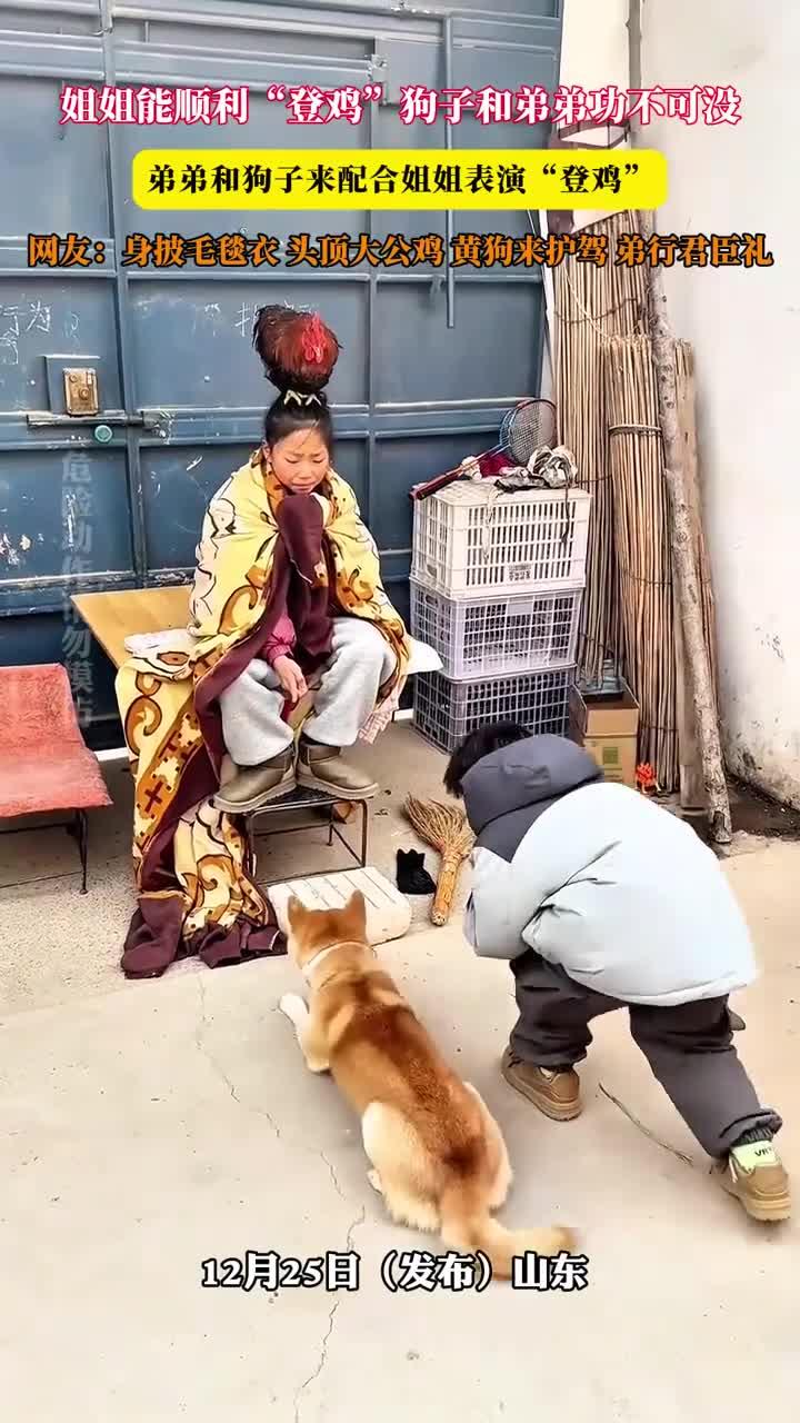 姐姐能顺利“登鸡”狗子和弟弟功不可没，弟弟和狗子来配合姐姐表演“登鸡”