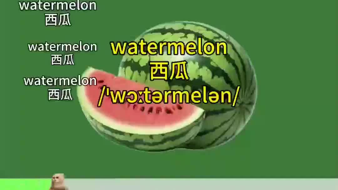 「第五十四集」跟着“西瓜”学趣味英语,挑战十秒记一个单词!