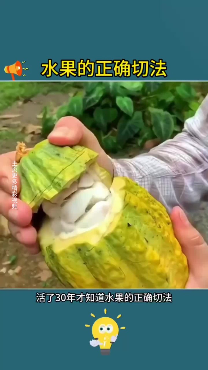 水果的正确切法大全