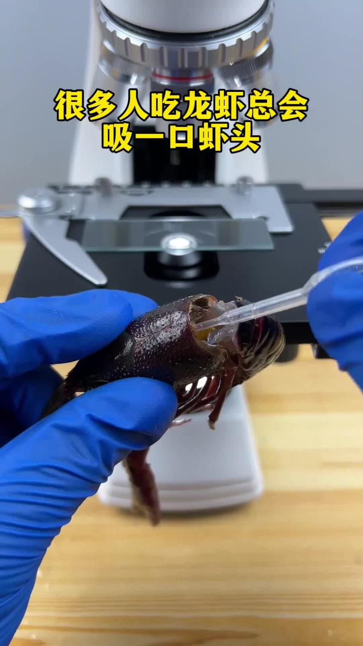 小龙虾头部真有寄生虫？