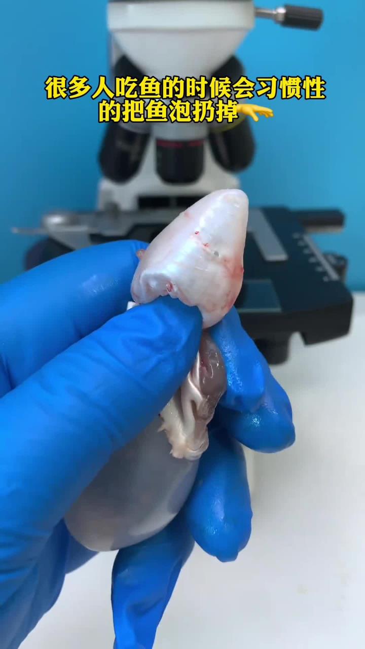 你喜欢吃鱼泡吗？它有营养吗？