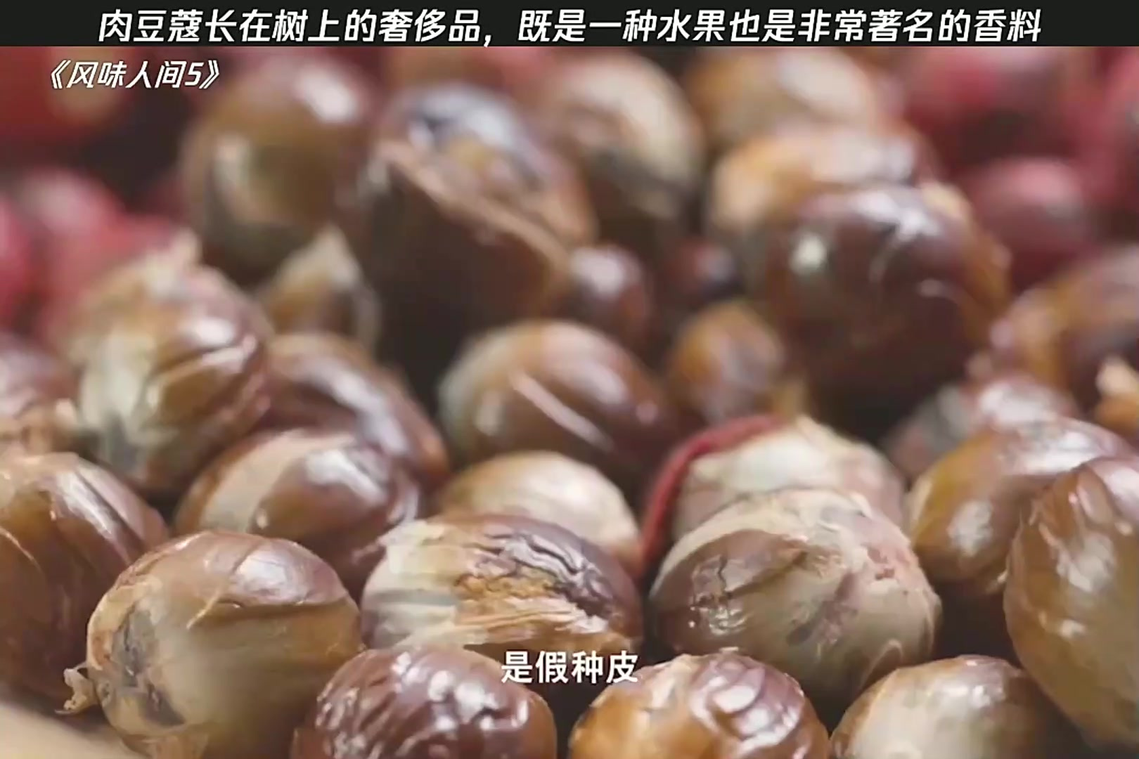 肉豆蔻长在树上的奢侈品,既是一种水果也是非常著名的香料