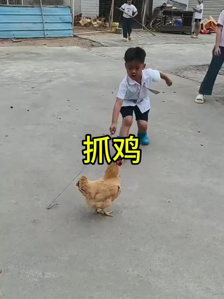 这个铁丝也太好用了吧