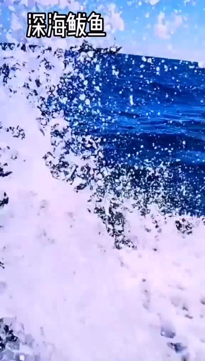 深海马鲛鱼如何蜕变为胶东鲅鱼?探索海底神奇的转变之谜