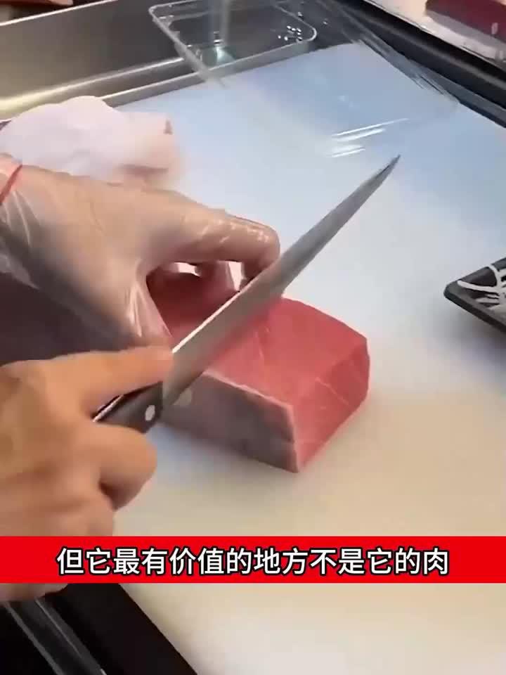 金枪鱼最贵的部分居然是骨髓