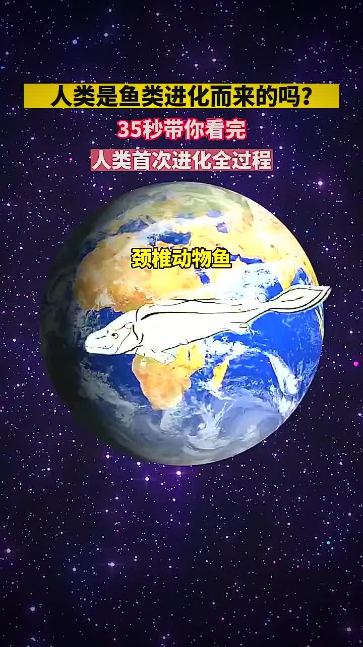 35秒带你看完人类进化全过程