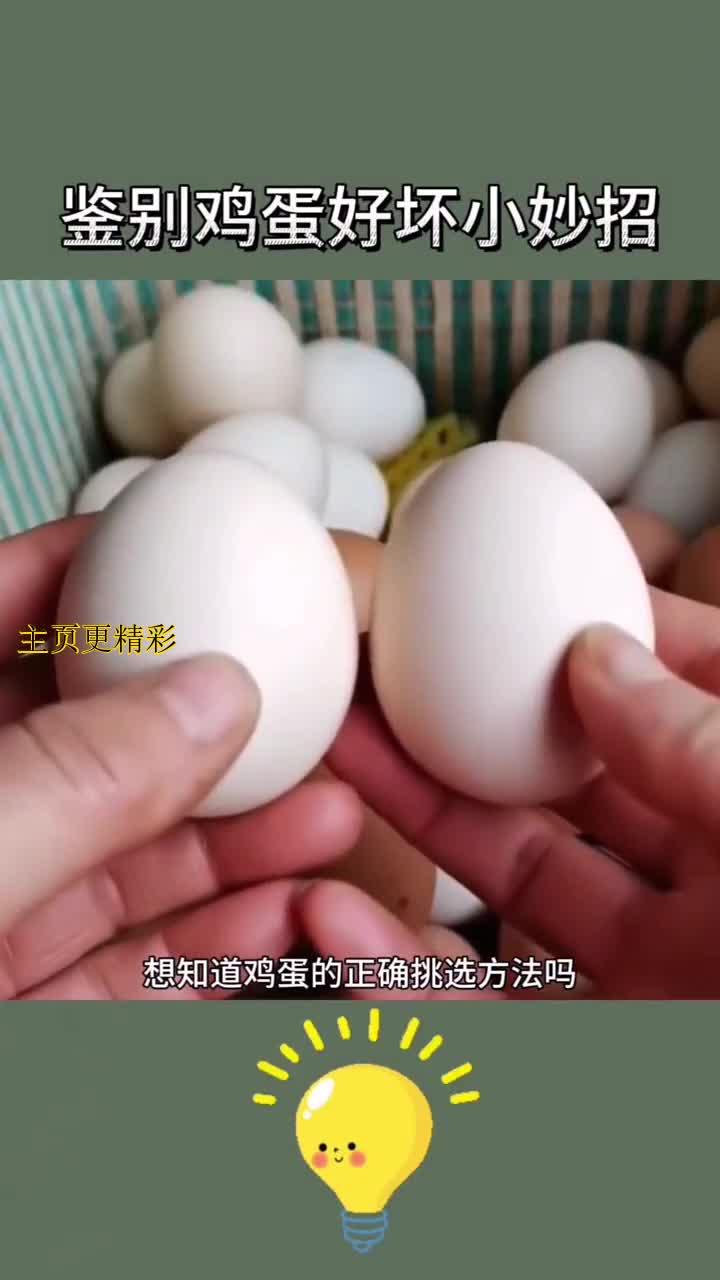 轻松辨别鸡蛋新鲜度,教你省心小技巧