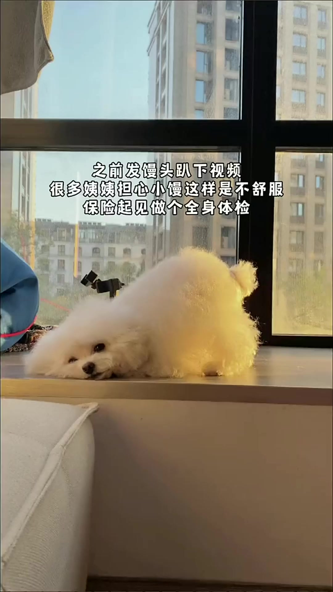 宝宝会一直健康陪伴姨姨们哒