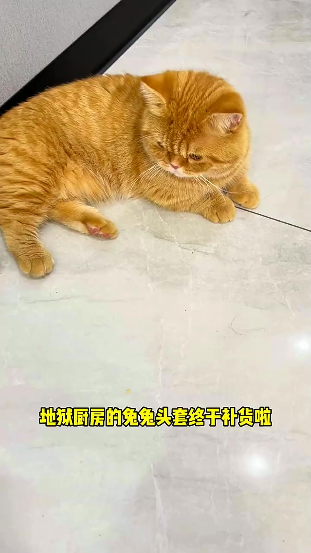 这个兔兔头套真的很可爱!冲冲冲!